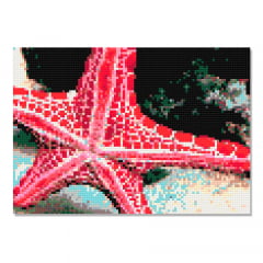 Kit Pintura com Diamantes | Estrela do Mar Vermelha 30x21cm - Diamante Redondo | Diamond Painting 5D DIY - Pintura Diamante - Diamond Painting 5D