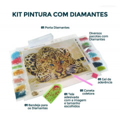 Kit Pintura com Diamantes | Tela Balões Abstratos - 48 x 38 cm - Diamante Redondo | Diamond Painting 5D DIY