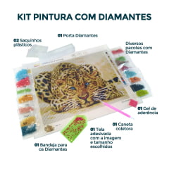 Kit Pintura com Diamantes | Tela Mandala Esotérica - 48 x 48 cm - Diamante Redondo | Diamond Painting 5D DIY